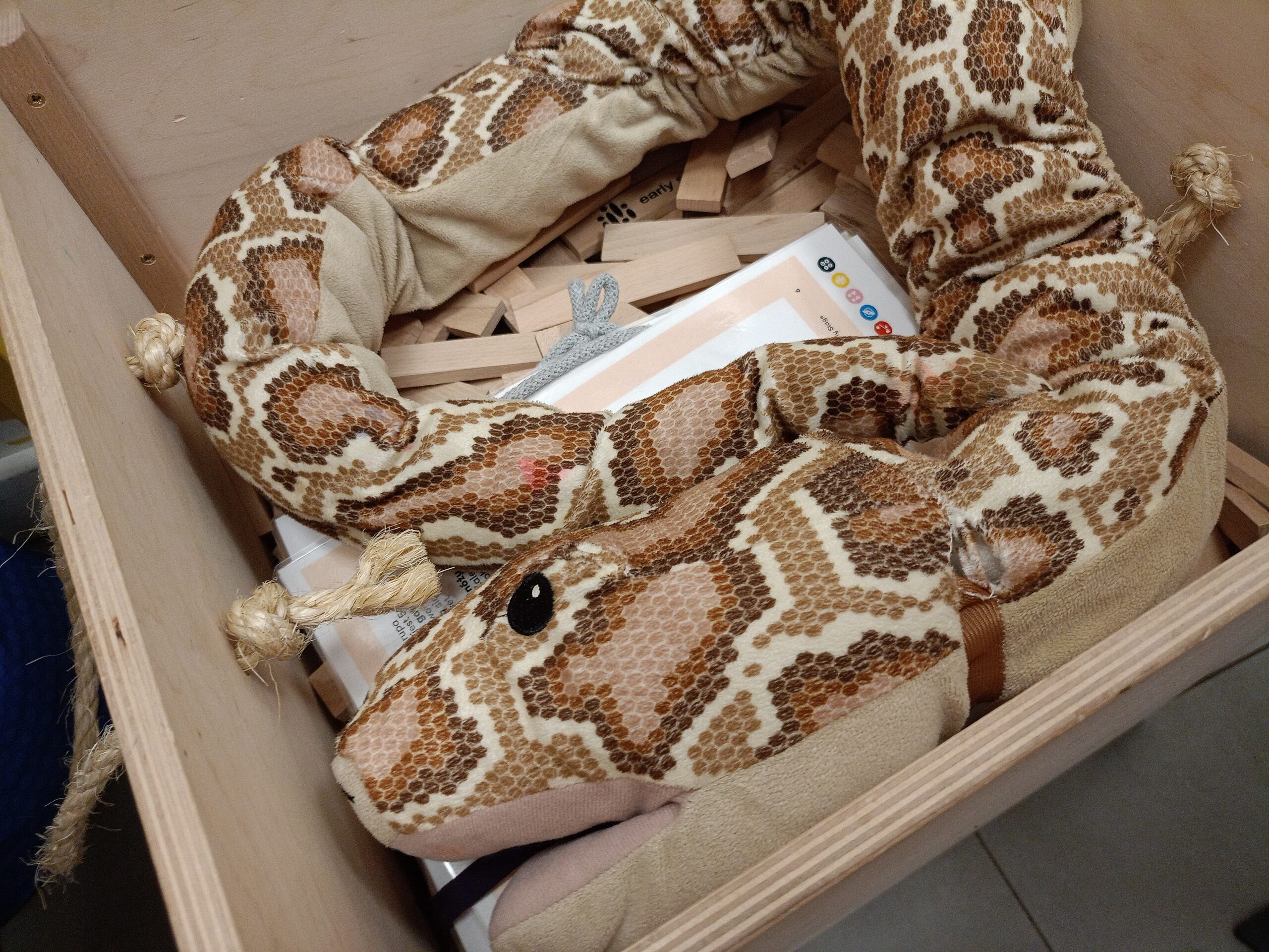 polkolonie letnie warszawa wola