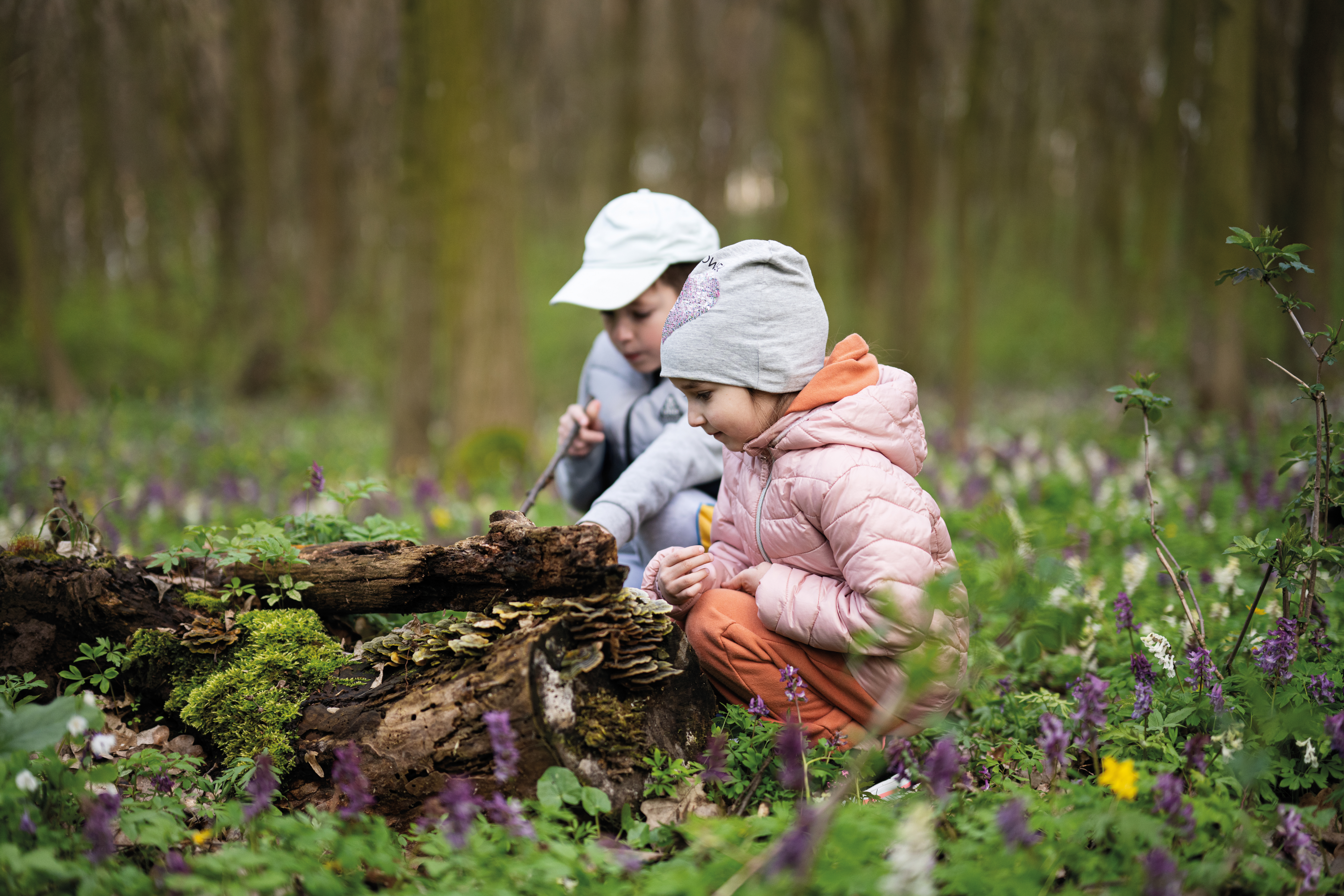 półkolonie zimowe early stage warsztaty przyrodnicze